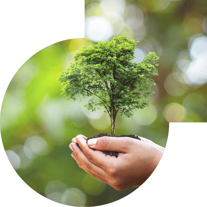 关怀人类、文化、环境与社会